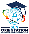 Logo senorientation